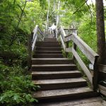 Bonnechere Caves Staircase