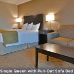 One Queen Bed