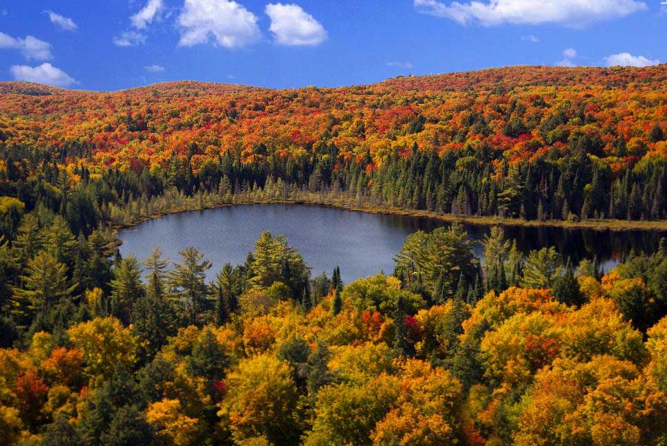 Algonquin Provincial Park in Ontario