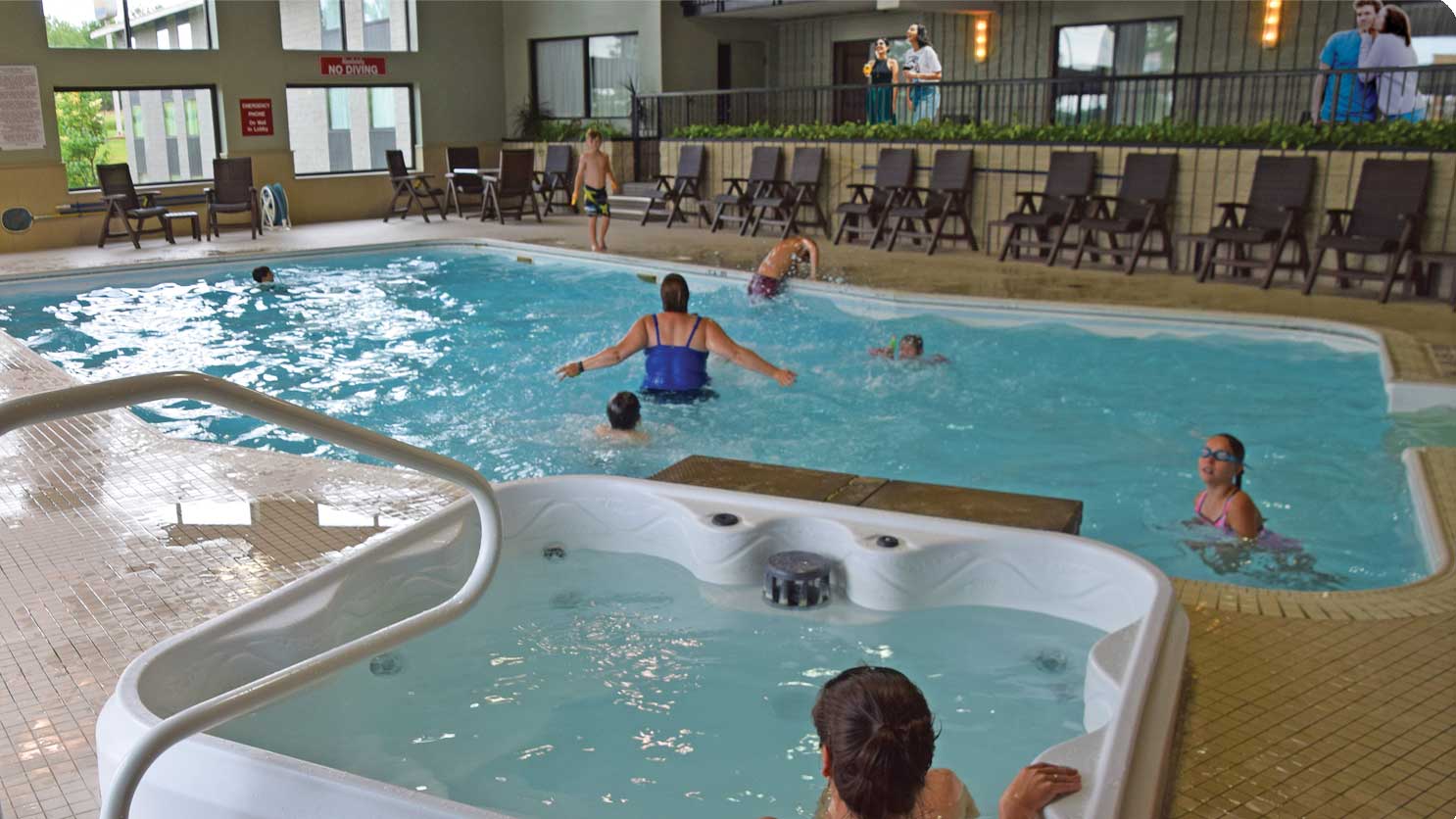 Your Indoor Oasis