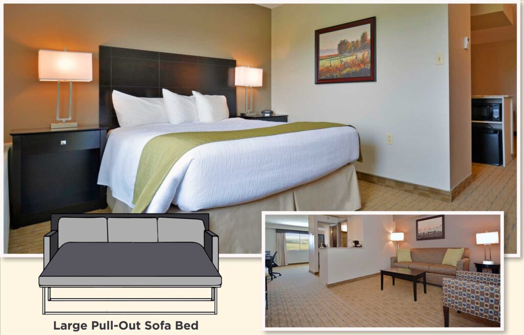 Mini Suite | 1 Queen Bed